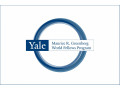 yale-emerging-climate-leaders-fellowship-small-0