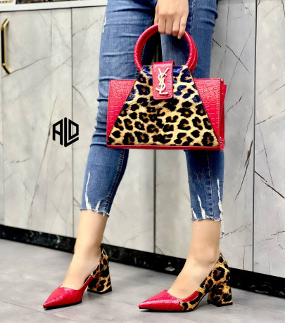 jolis-sacs-et-chaussures-pour-dames-differents-modeles-et-couleurs-big-2