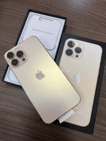 apple-iphone-13-pro-max-gold-256go-big-0