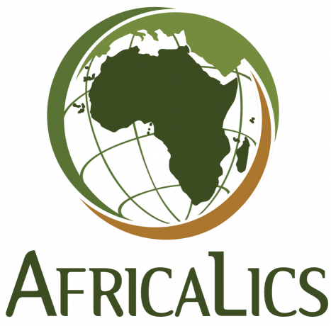 africalics-phd-visiting-fellowship-programme-big-0