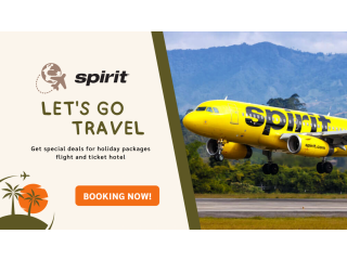Spirit Airlines Flights