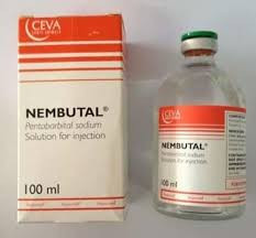 nembutal-pentobarbital-sodique-et-kcn-en-vente-sans-ordonnance-big-0