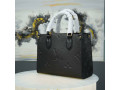 sac-disponible-luis-viton-small-3